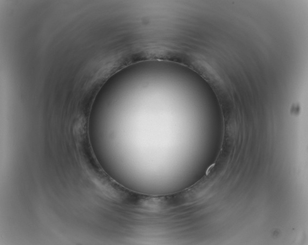 X0000091690079200709061134