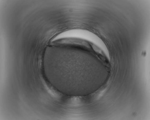 X0000091690080200709061134