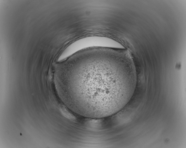 X0000091690081200709061134