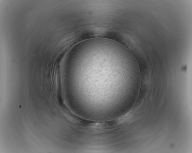 X0000091690082200709061134