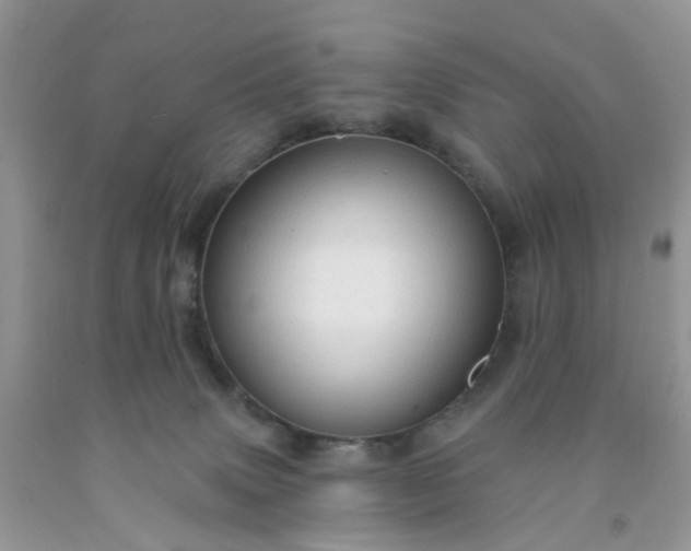 X0000091690083200709061134