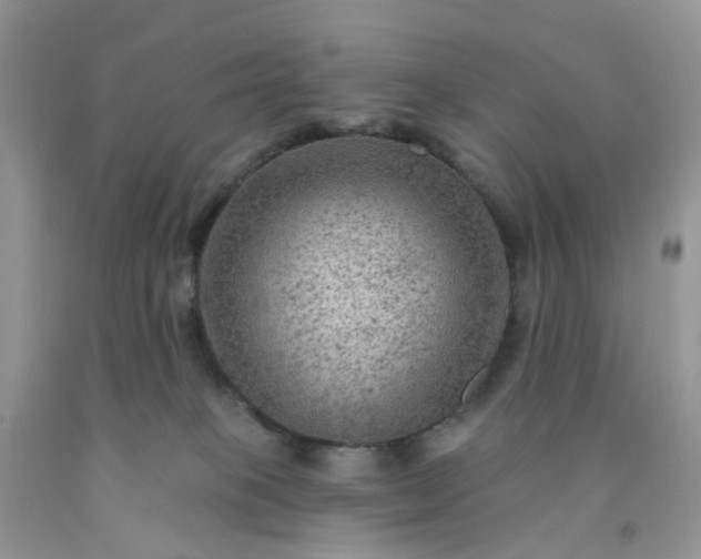 X0000091690085200709061134