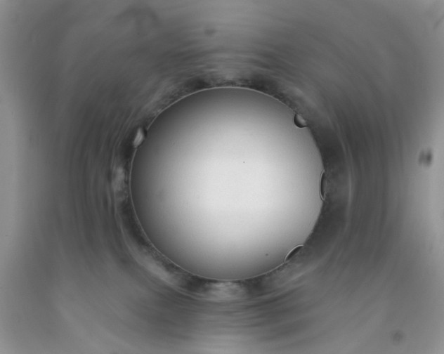 X0000091690087200709061134