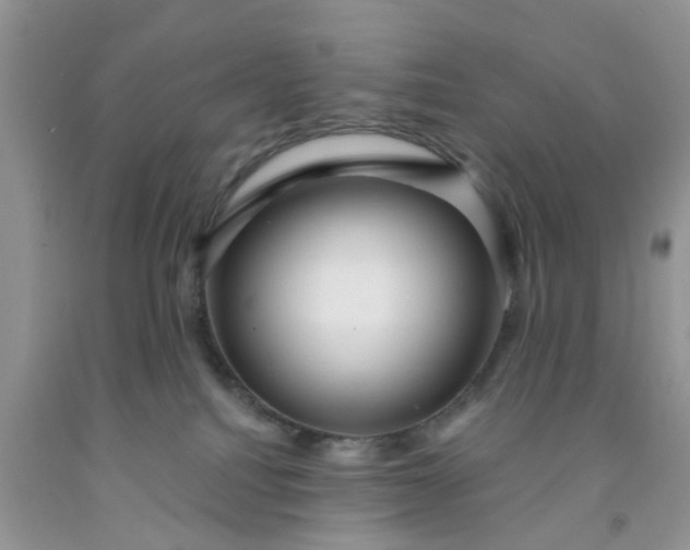 X0000091690088200709061134