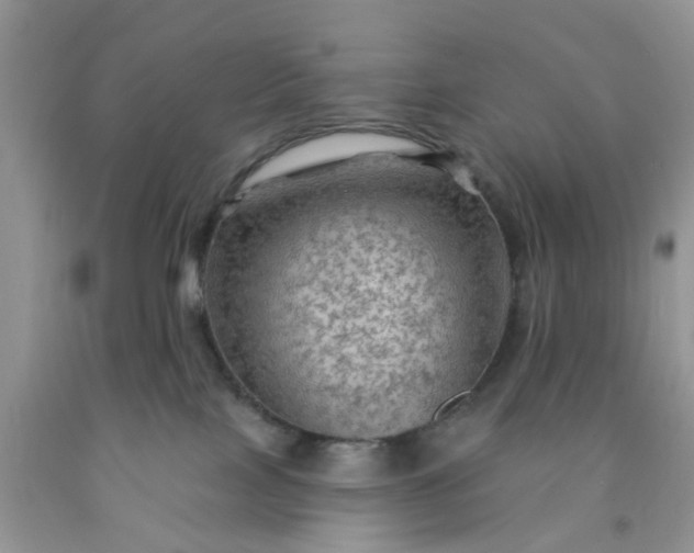 X0000091690089200709061134