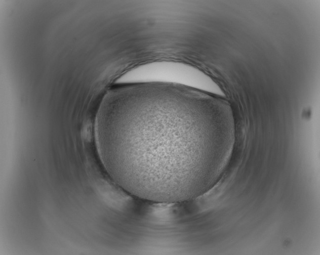 X0000091690090200709061134