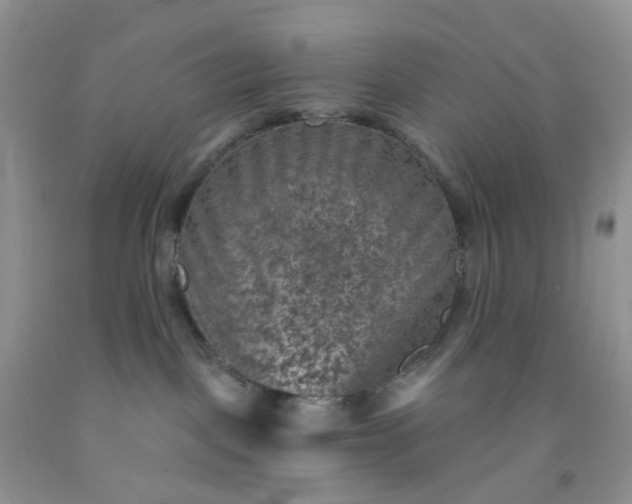 X0000091690093200709061134