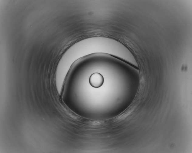 X0000091690096200709061134