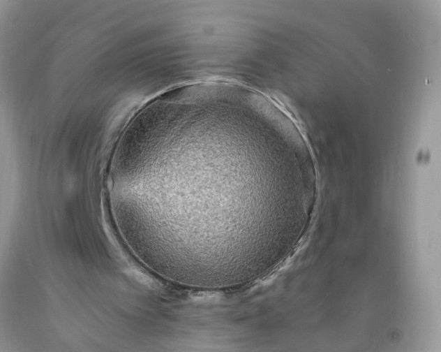 X0000091690097200709061133