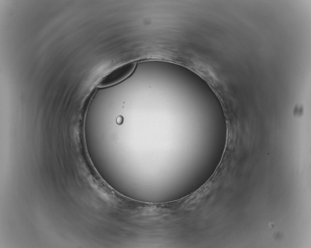 X0000091690098200709061133