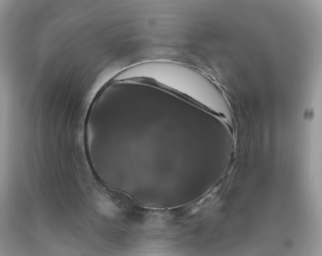 X0000091690099200709061133