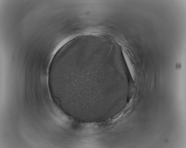 X0000091690100200709061133