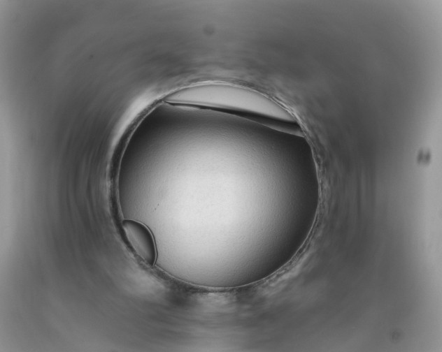 X0000091690102200709061133