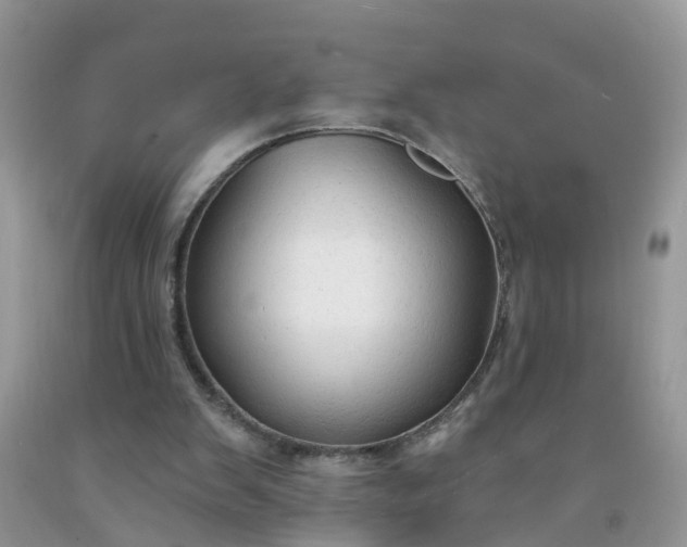 X0000091690103200709061133