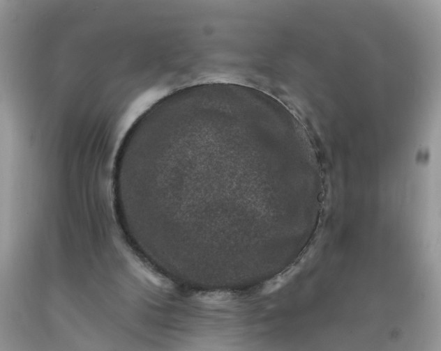 X0000091690104200709061133