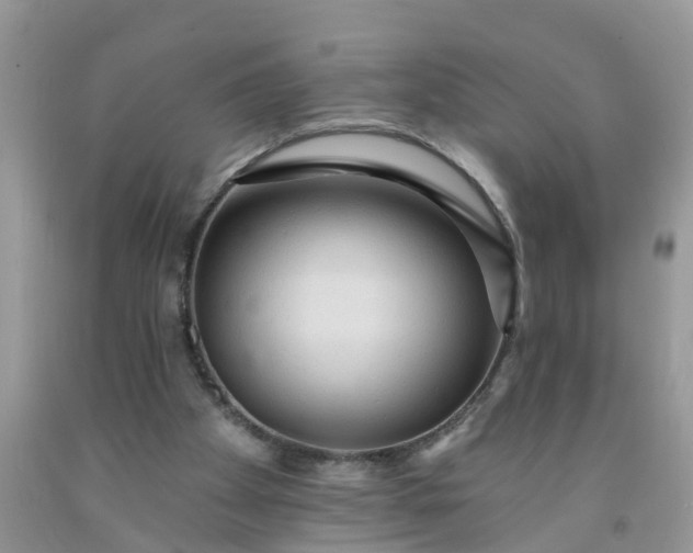 X0000091690105200709061133