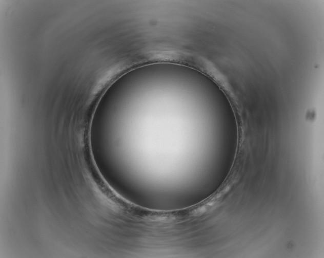 X0000091690106200709061133