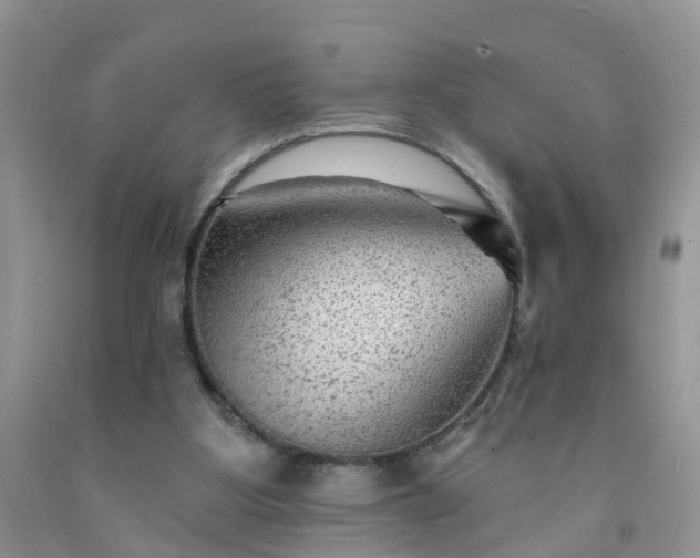 X0000091690107200709061133