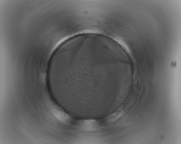 X0000091690108200709061133