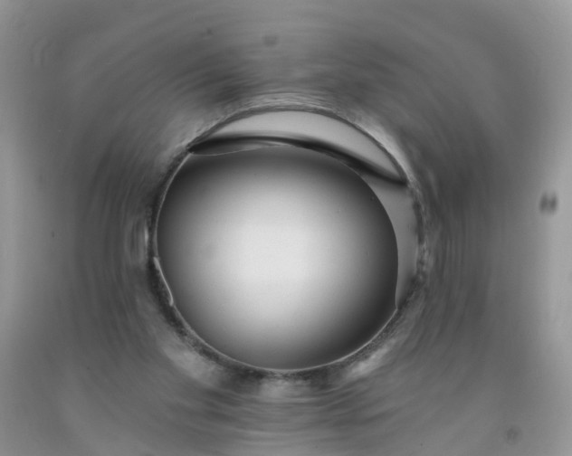 X0000091690109200709061133