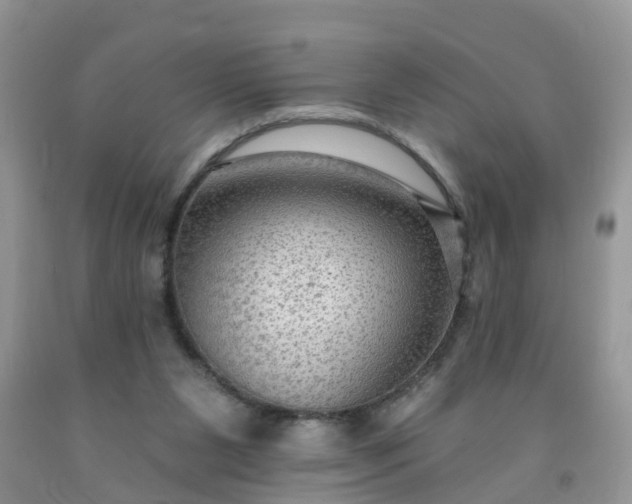 X0000091690111200709061133