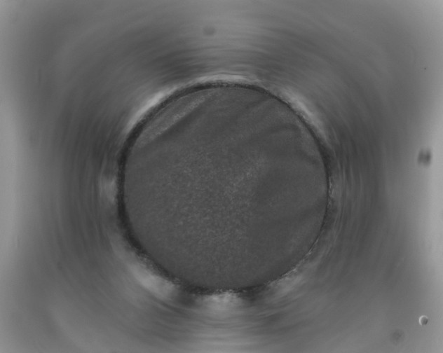 X0000091690112200709061133