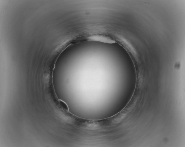 X0000091690113200709061133