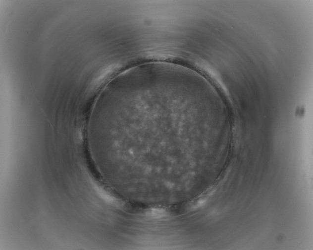 X0000091690114200709061133