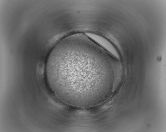 X0000091690115200709061133