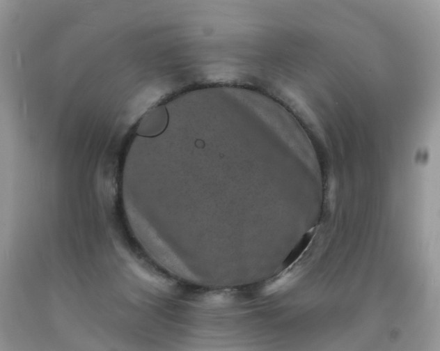 X0000091690116200709061133