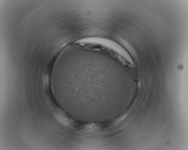 X0000091690117200709061133