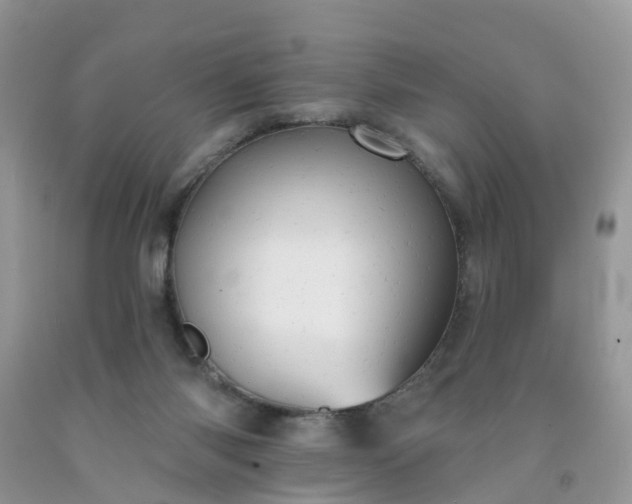 X0000091690118200709061133