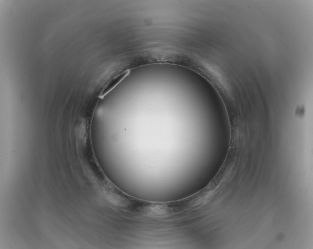 X0000091690121200709061133