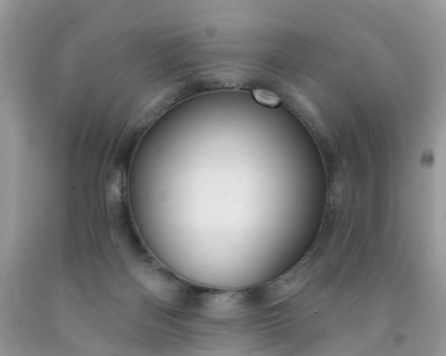 X0000091690122200709061133