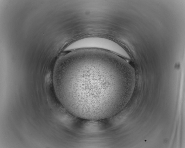 X0000091690123200709061133