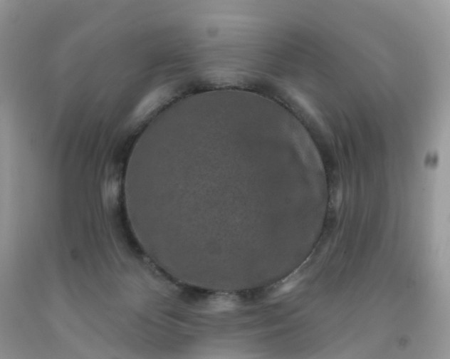 X0000091690124200709061133