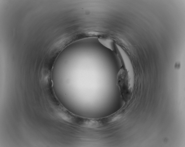 X0000091690125200709061133