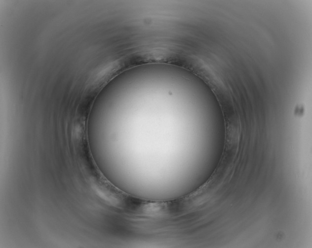 X0000091690126200709061133