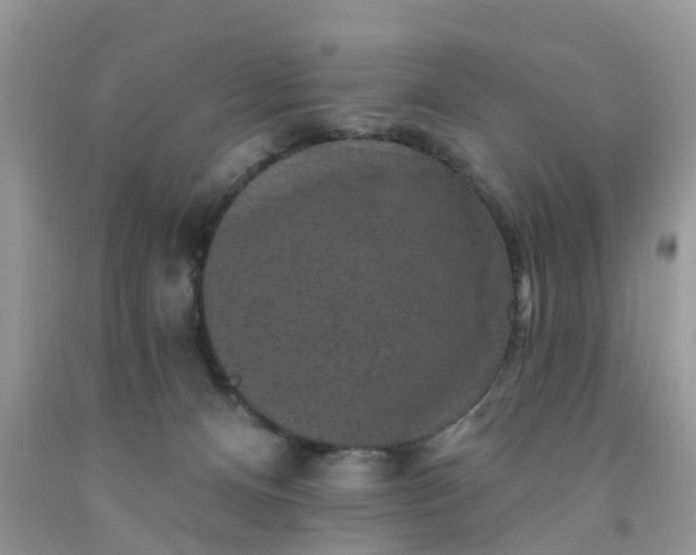 X0000091690128200709061133