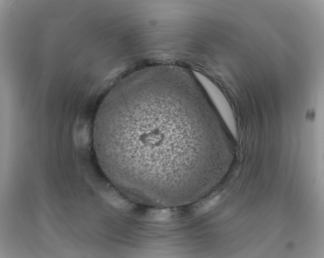 X0000091690131200709061133