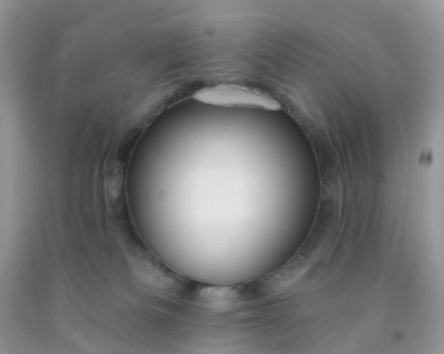 X0000091690133200709061133