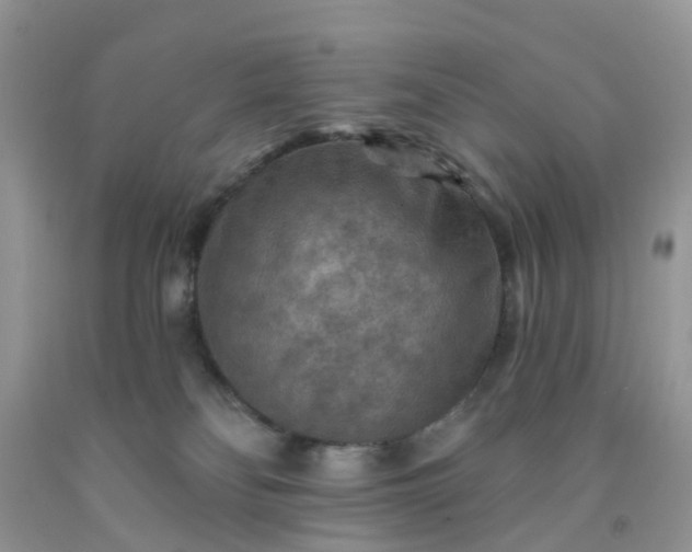 X0000091690134200709061133