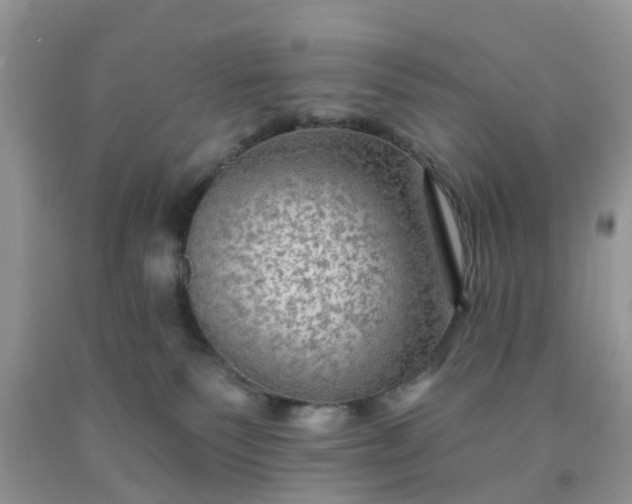 X0000091690135200709061133