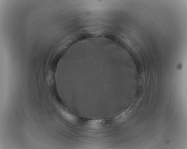 X0000091690136200709061133