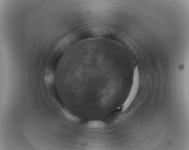 X0000091690137200709061133