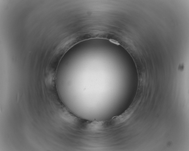 X0000091690138200709061133