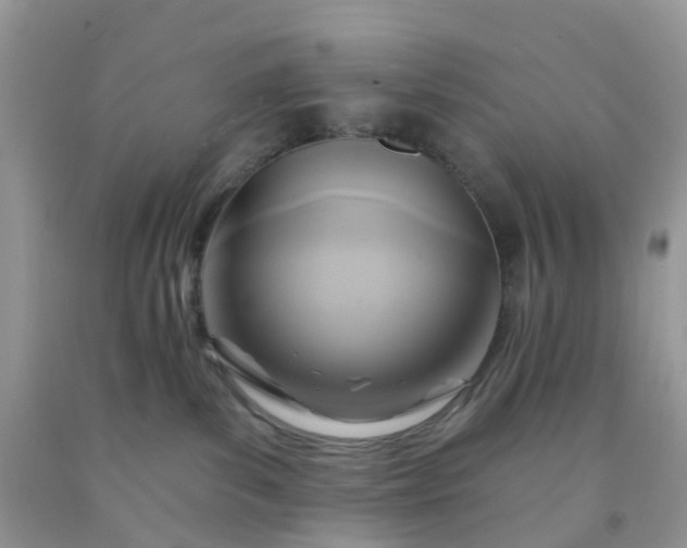 X0000091690139200709061133