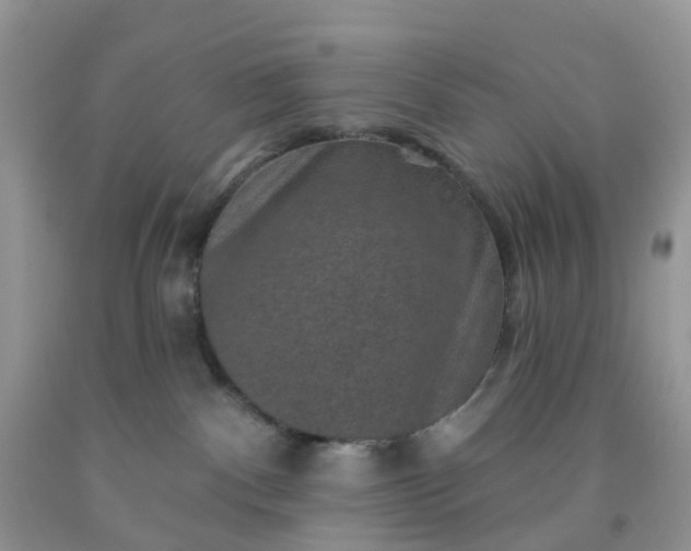 X0000091690140200709061133