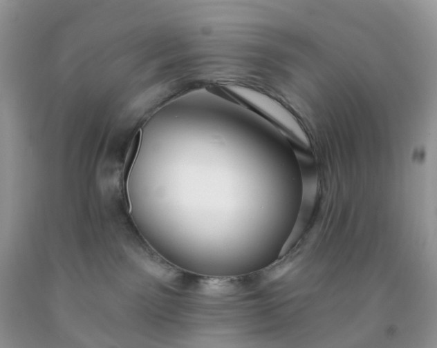 X0000091690141200709061133