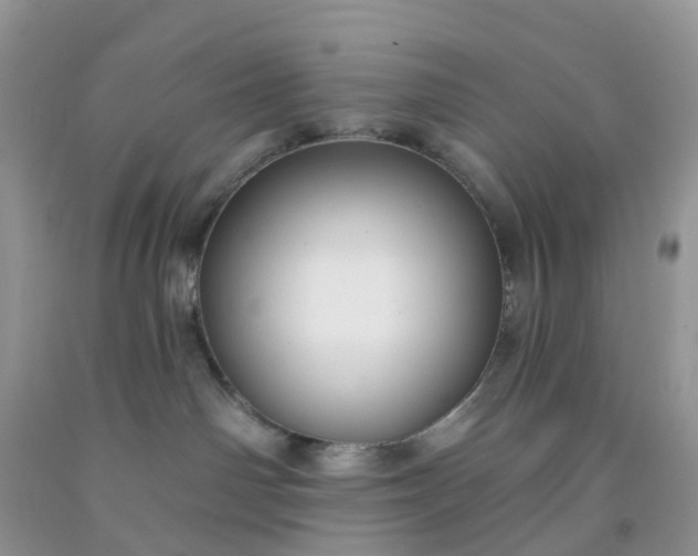 X0000091690142200709061133